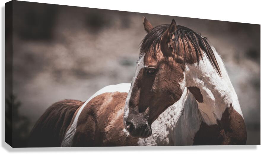 Jigsaw Canvas Print
