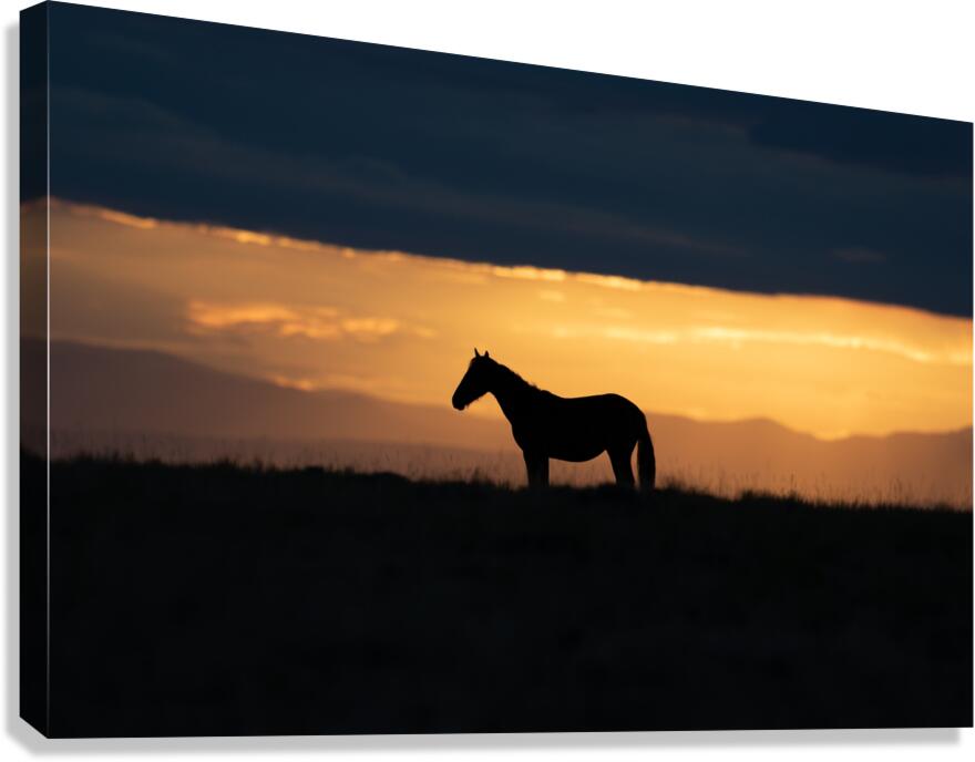Light Prancer Canvas Print