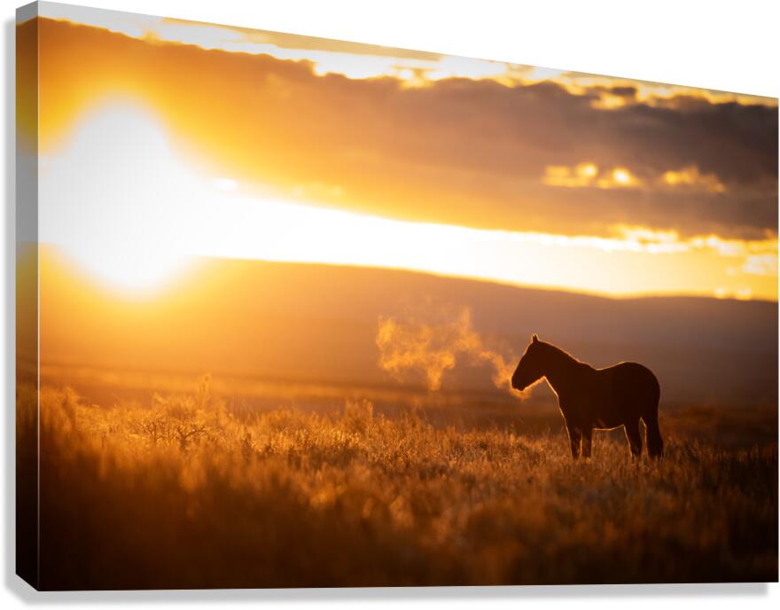 Exhale Canvas Print