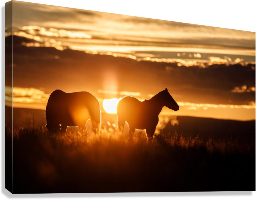 Horizon Canvas Print