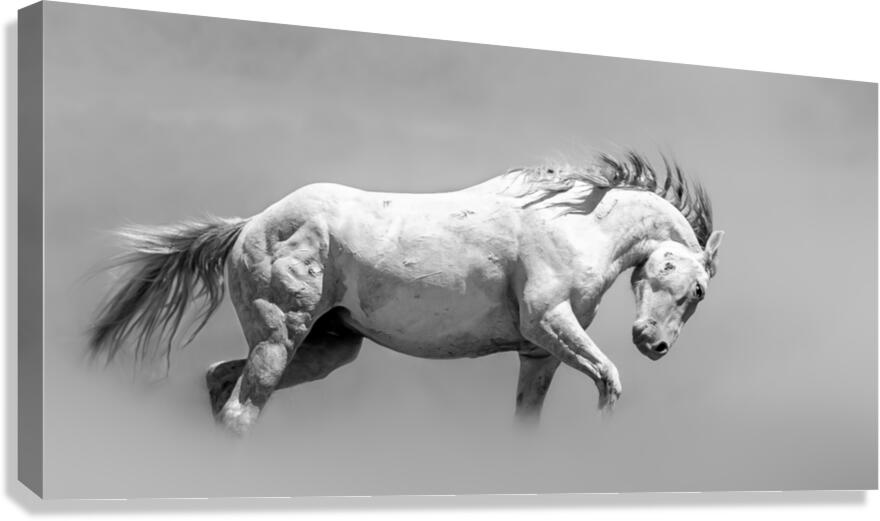 Stone Canvas Print