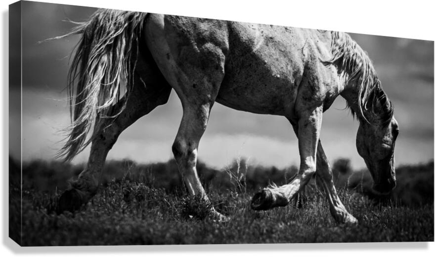 Statue Canvas Print