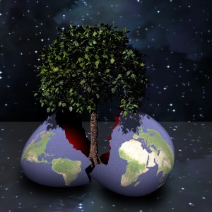 Birth of new life