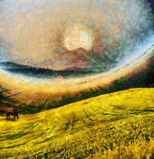 Meadow