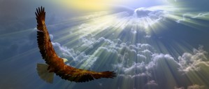 Eagle in the cloudy sky