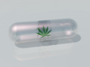 Medical Marijuana