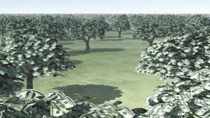 Garden of Money