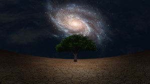 Tree of Life