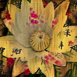 Asia Lotus