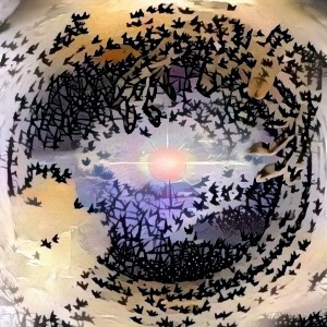 Eye