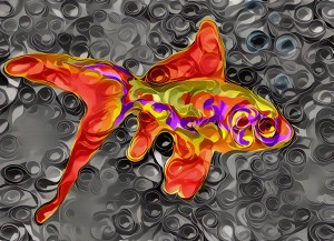 Goldfish