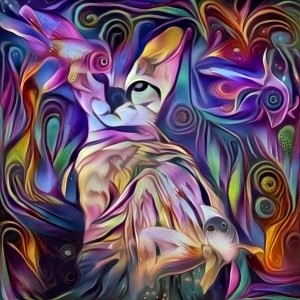 Kitty