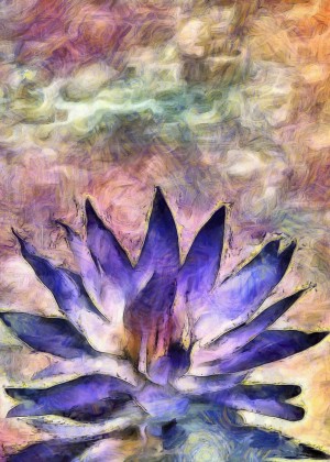 Lotus