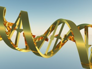 DNA Strand