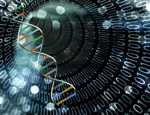 DNA binary code