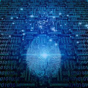 Digital Fingerprint