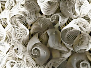 Sea Shells
