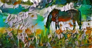 Horse in the field