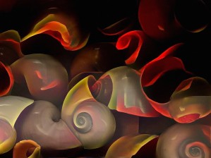 Moon shells
