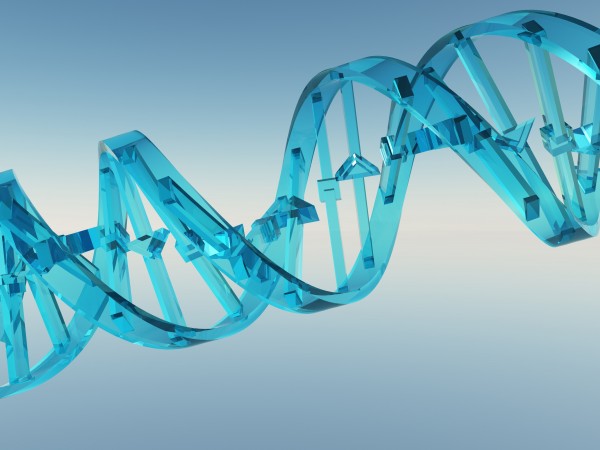 DNA Strand Print