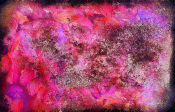 Pink Canvas Print