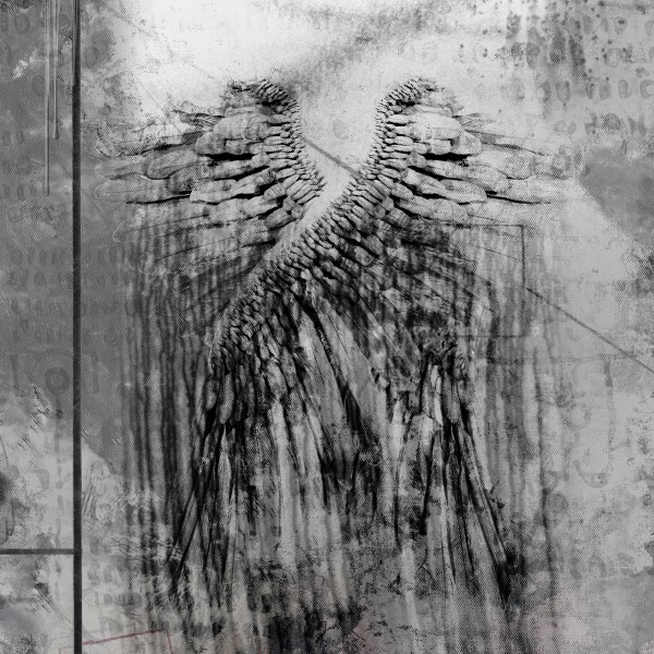 Angels Wings Print