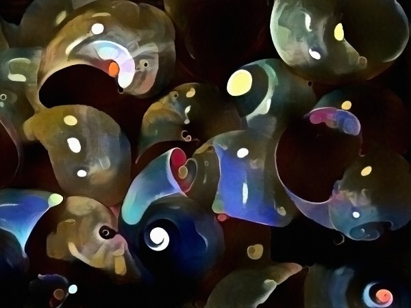 Beautiful Seashells Print