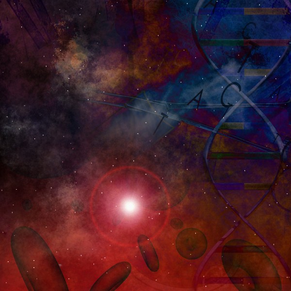 Blood DNA Print