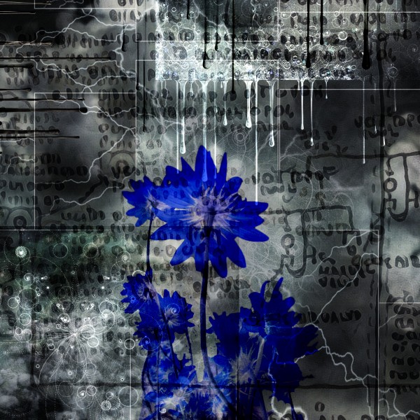 Blue Flowers Print