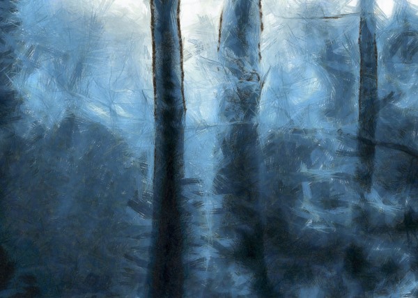 Blue Forest Print