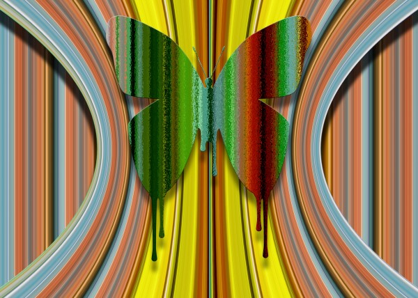 Butterfly Print