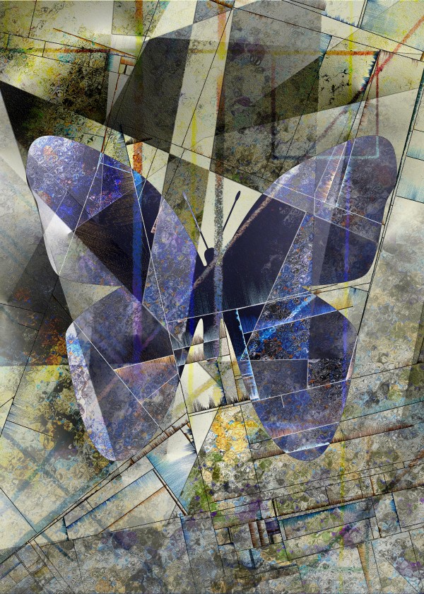 Butterfly Print