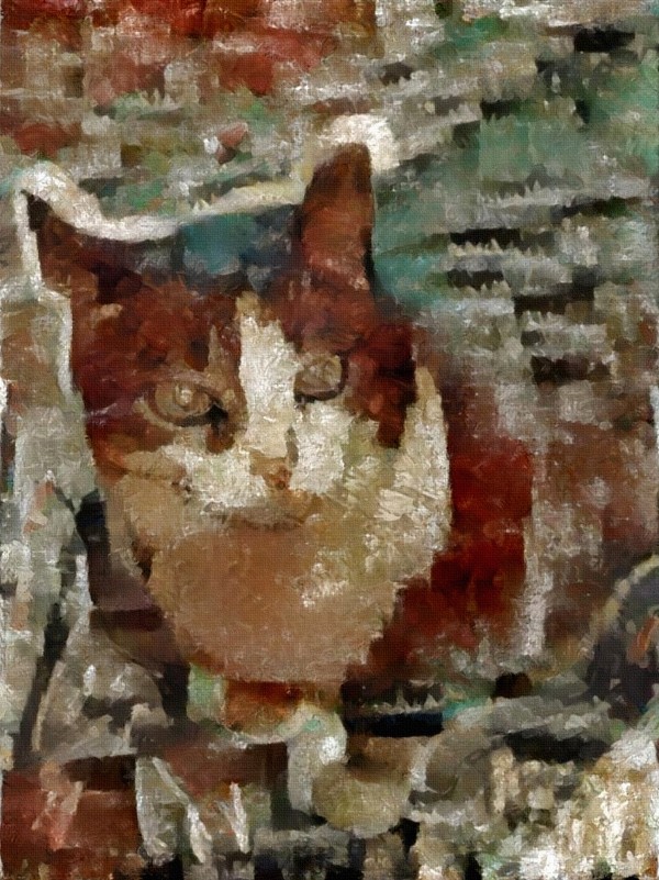 Cat Print
