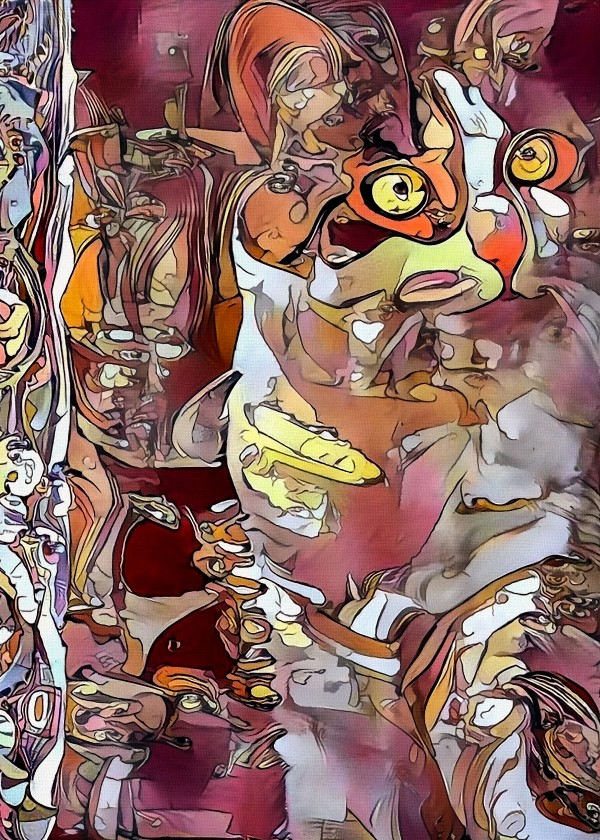 Colorful Cat Print