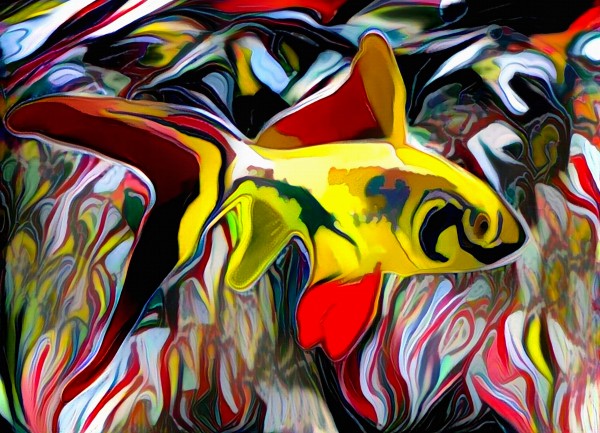 Colorful Fish Print