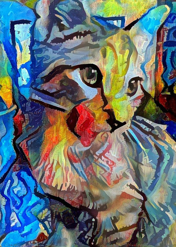 Cute Kitten Imprimer