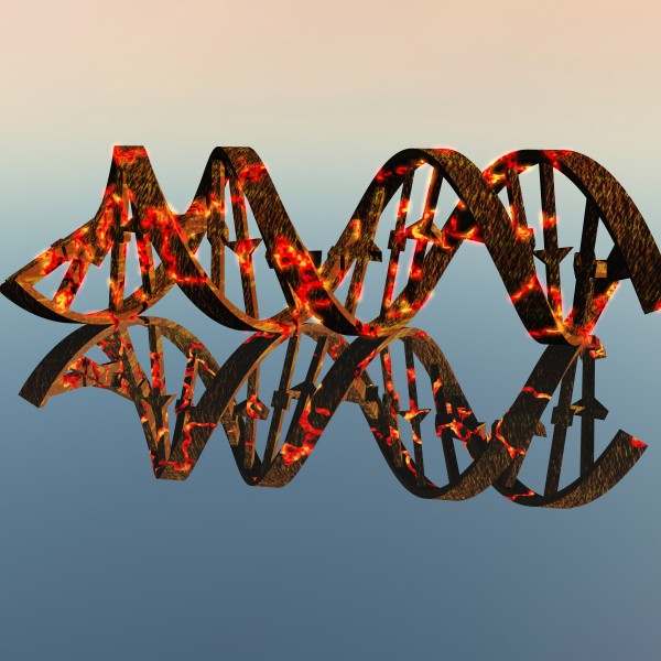 Damaged DNA Print