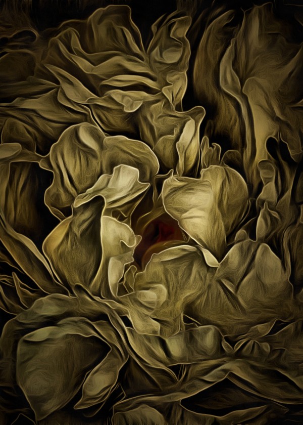 Flowers Print