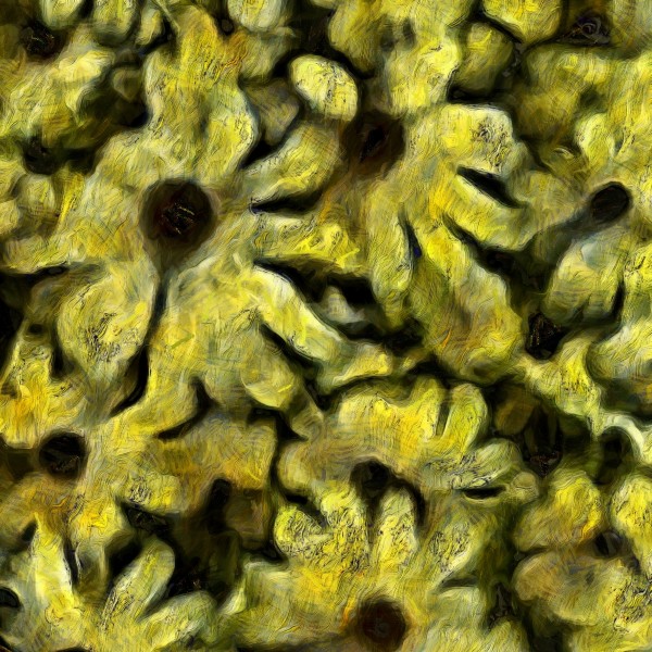 Flowers Print