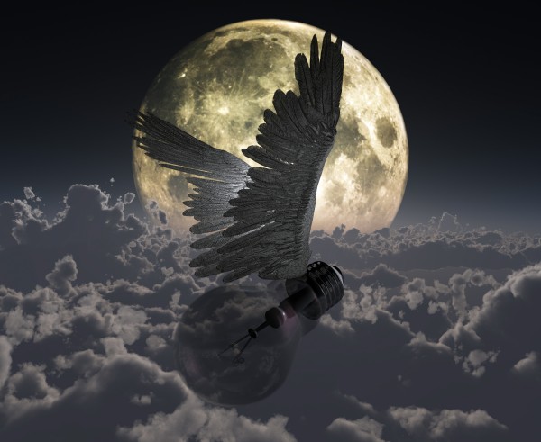 Flying Idea Print