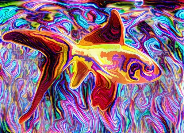 Golden Fish Print