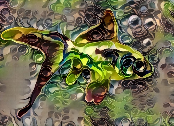 Golden Fish Print