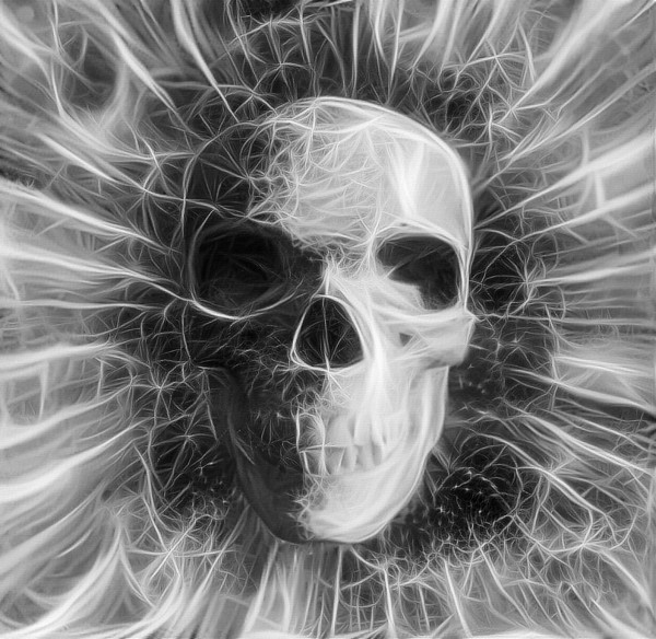 Human Skull Print
