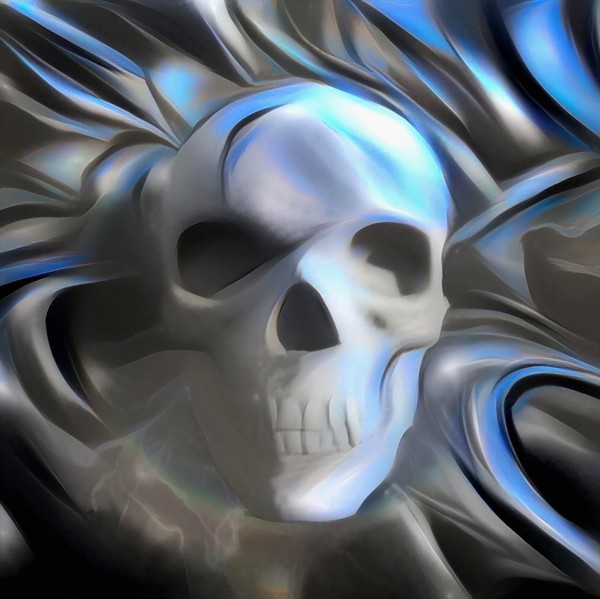 Human Skull Print