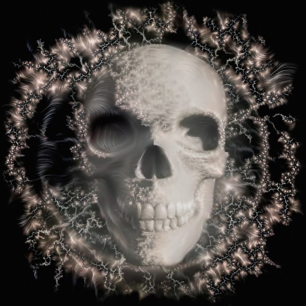 Human Skull Print