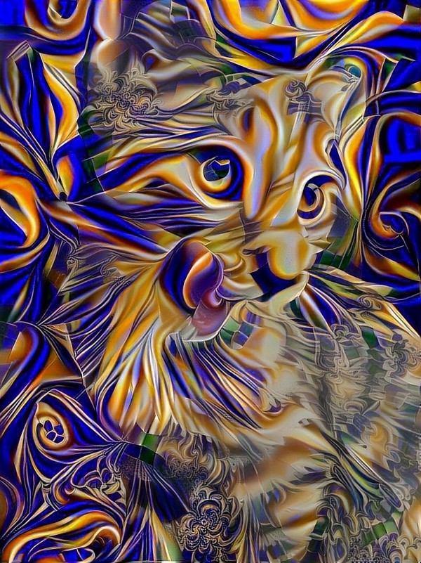 Kitten Print