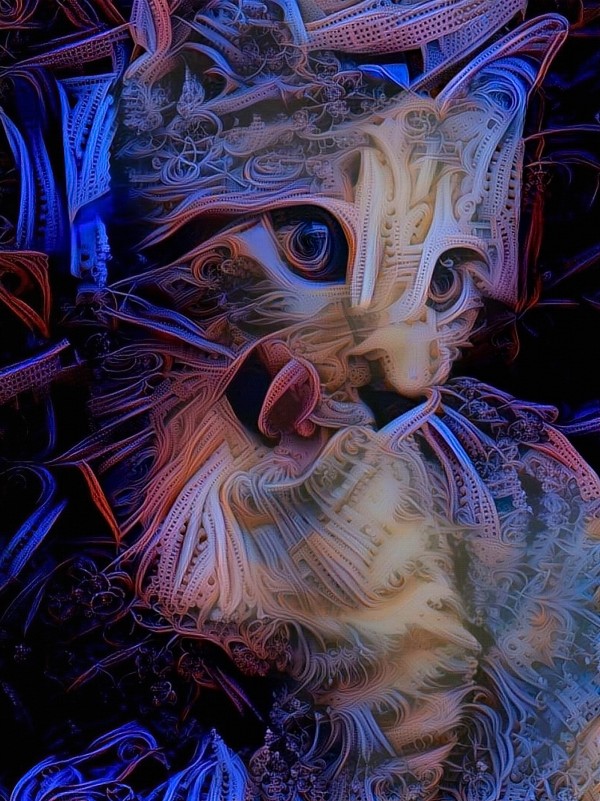Kitten Print