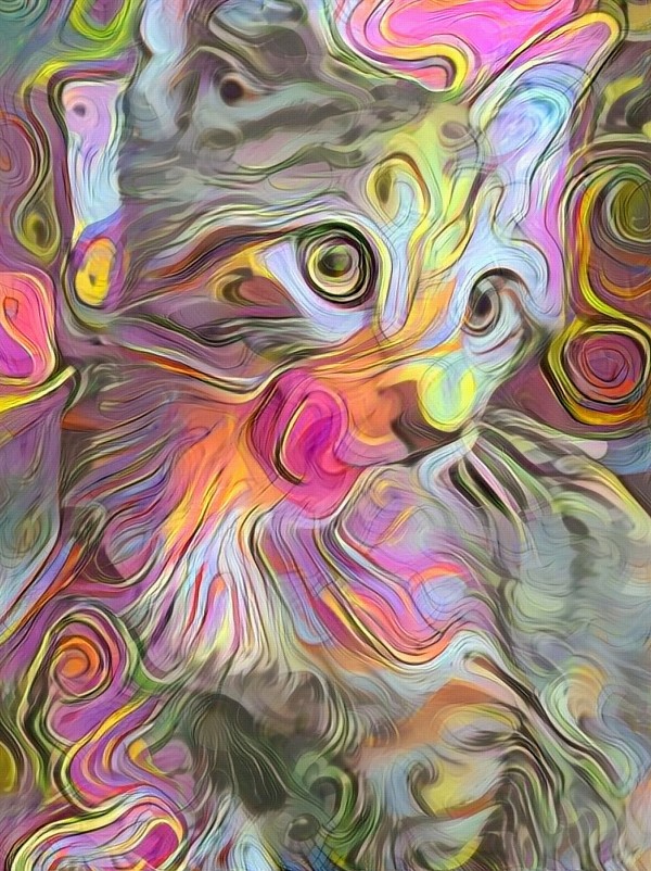 Kitty Print