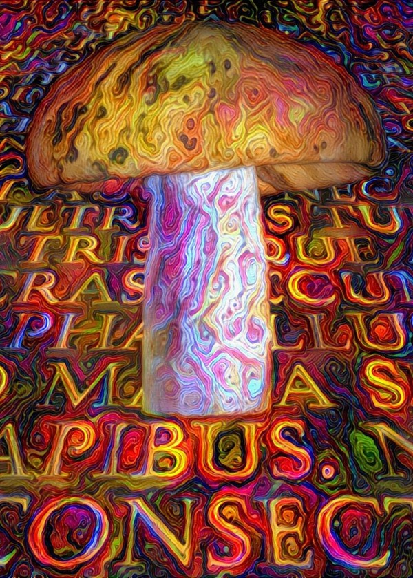 Latin Mushroom Print