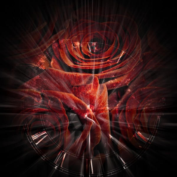 Latin Roses Print